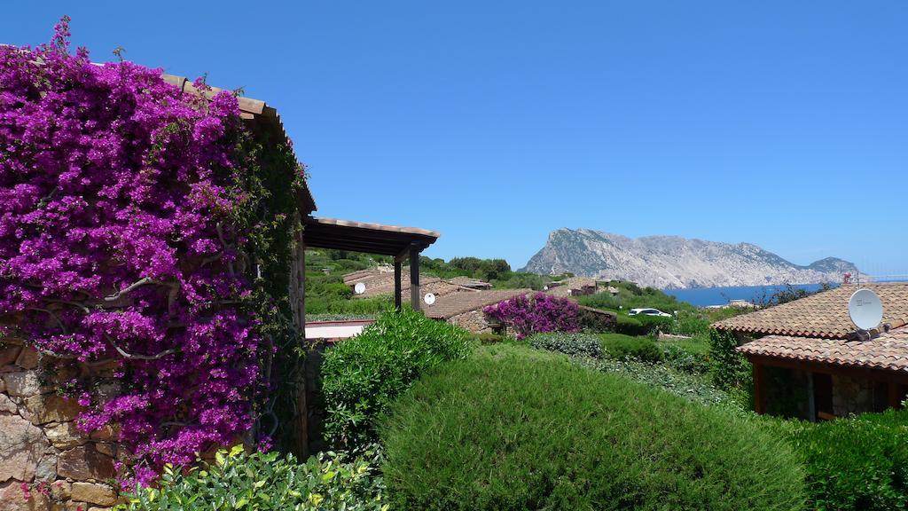 Casa Molara Villa San Teodoro  Rum bild
